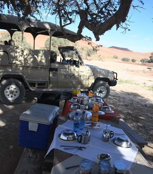 Nach dem Aufstieg ein Picknick am Fuße der Big Mama Düne in Sossusvlei auf einer Rundreise in Namibia